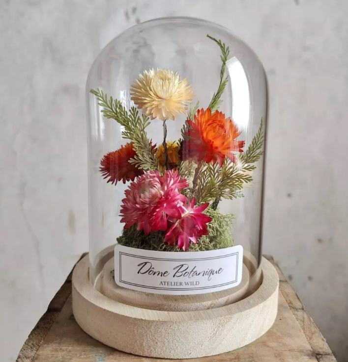 Dôme botanique "Atelier Wild"